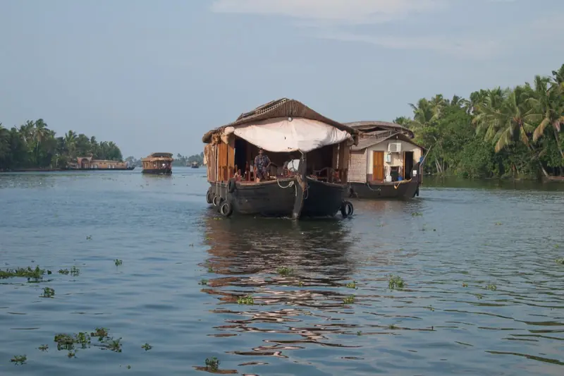 Houseboats on the Kerala backwaters